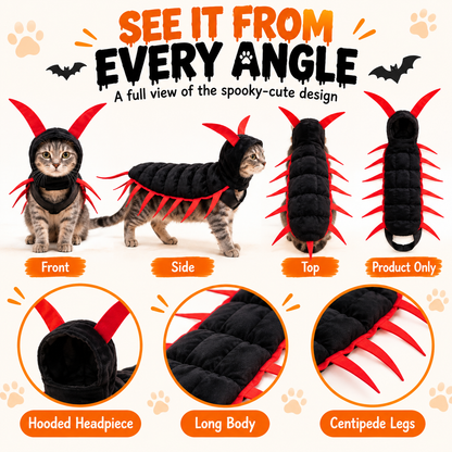 Halloween Cat AndCentipede Costume