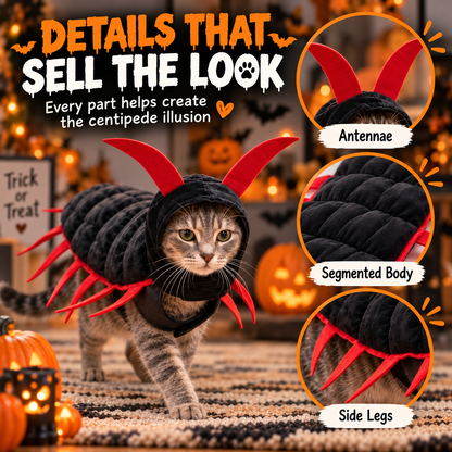 Halloween Cat AndCentipede Costume