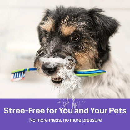 Pet Oral Care Spray for Dogs & Cats