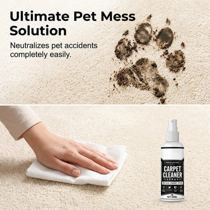 Carpet Cleaner Spray for Fresh & Clean Carpets