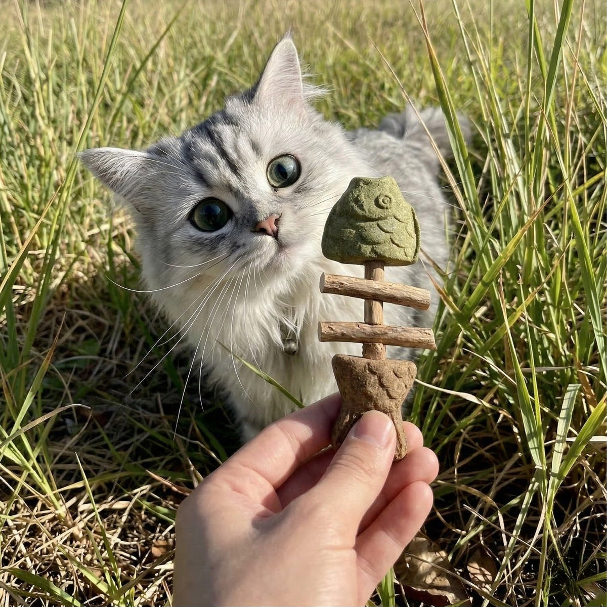 100% Natural Catnip & Silvervine Chew