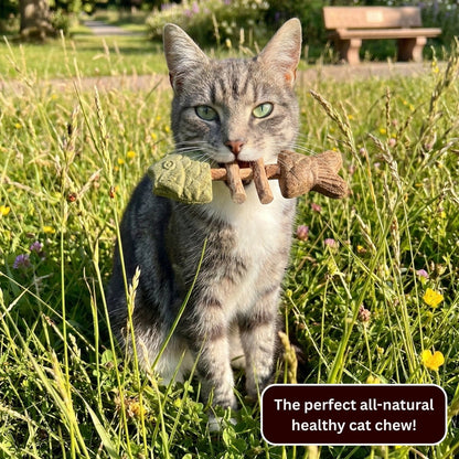 100% Natural Catnip & Silvervine Chew