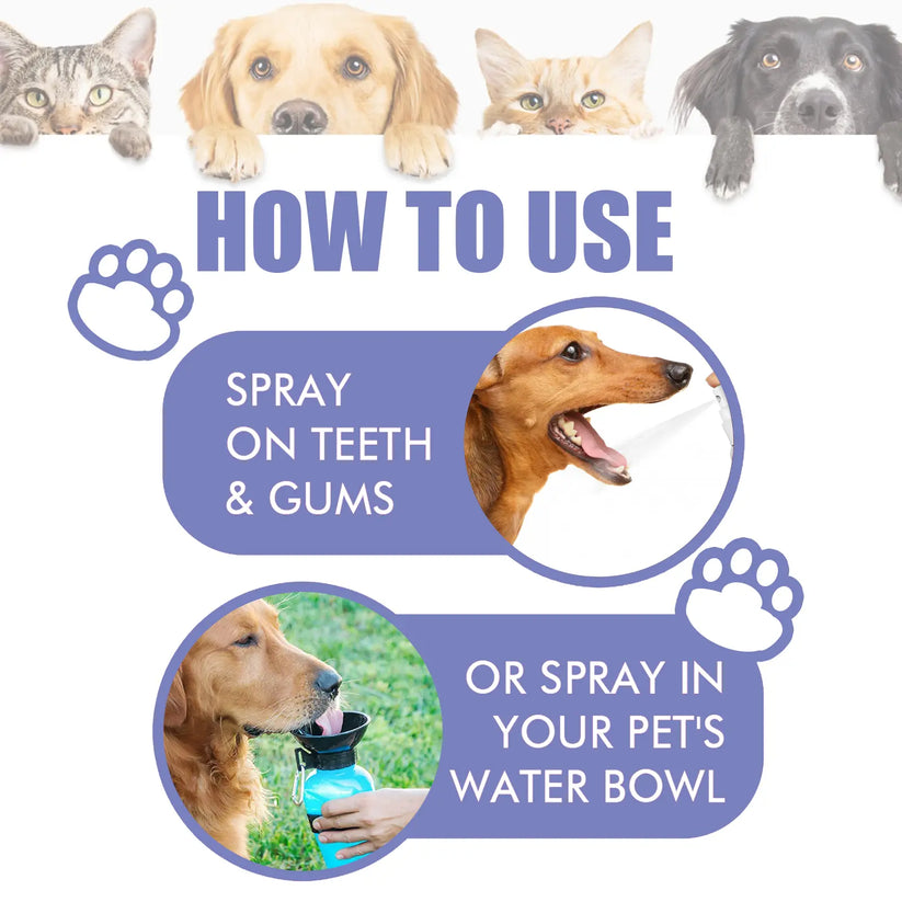 Pet Oral Care Spray for Dogs & Cats